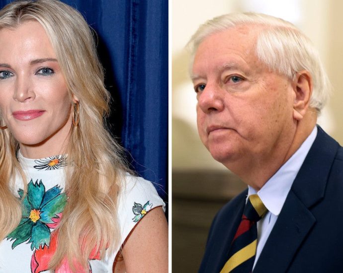 Megyn Kelly Slams Lindsey Graham for Threatening Allies Over Iran: ‘Who Died and Made Him President?’ | Video