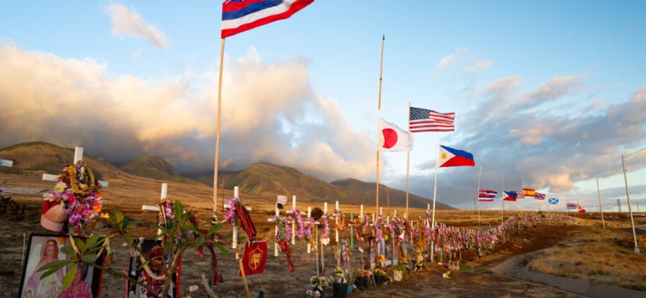 maui’s-mental-health-crisis-goes-far-beyond-the-wildfire-burn-zone 