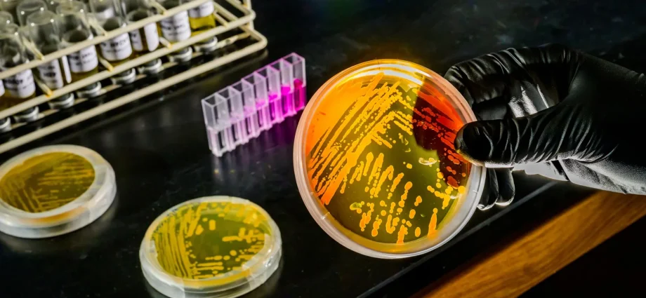 ocean-warming-may-supercharge-a-tiny-microbe-that-controls-marine-nutrients