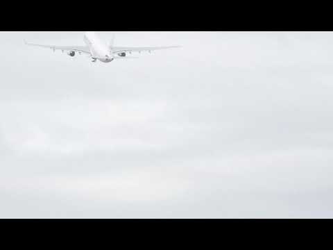 live:-france-flies-aid-to-lebanon