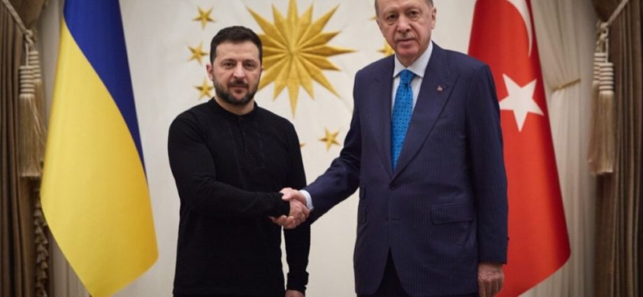 turkey’s-ukraine-war-bill:-soybean-imports-at-risk-as-erdogan-warns-of-global-crisis