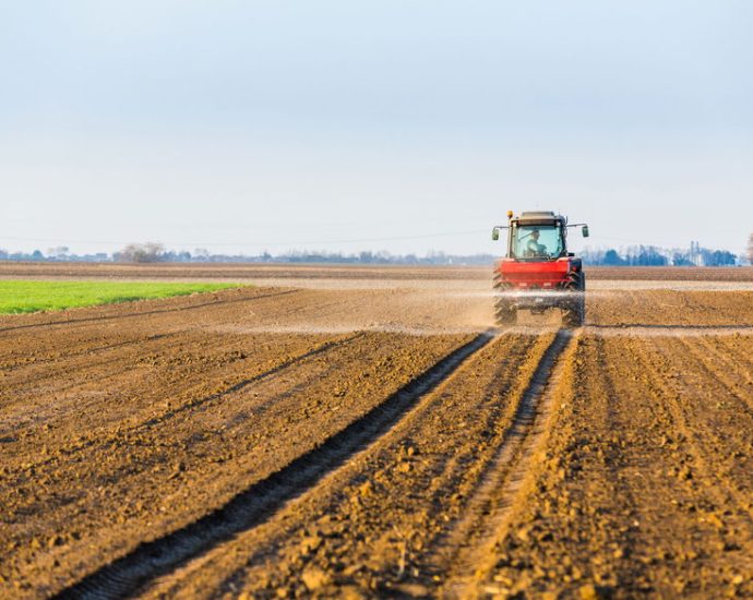 the-war-in-iran-could-plunge-the-world-into-hunger