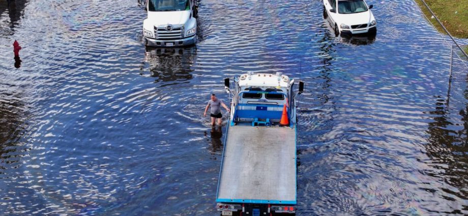 el-nino-is-set-to-take-hold-this-summer,-driving-up-global-temperatures