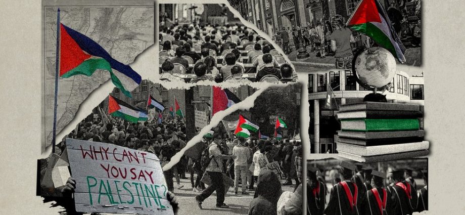 the-fight-for-palestine-in-higher-education-continues,-despite-institutional-backlash