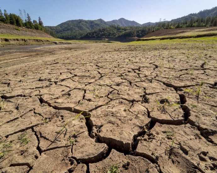 Can species evolve fast enough to survive as the planet heats up?