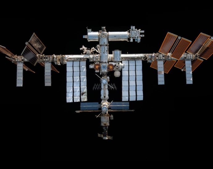 24 mice launched to orbit in 2023. What happened to their bodies could help humans better survive in space