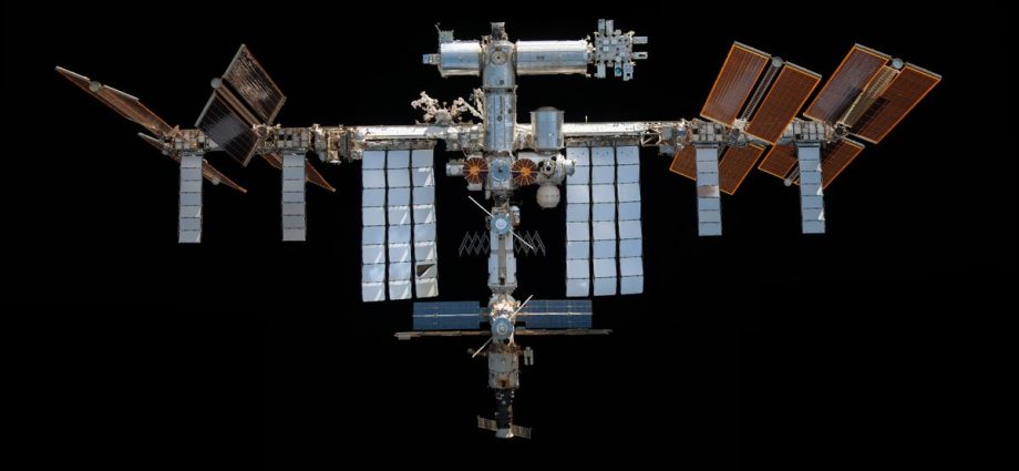 24 mice launched to orbit in 2023. What happened to their bodies could help humans better survive in space