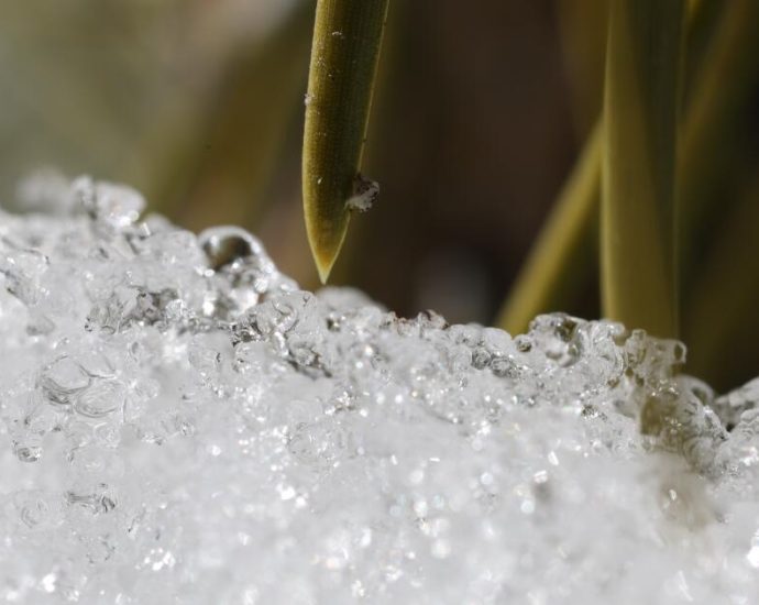 california’s-snowpack-was-already-meager.-now-comes-an-extraordinary-heat-wave