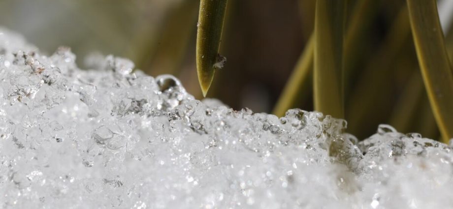 california’s-snowpack-was-already-meager.-now-comes-an-extraordinary-heat-wave