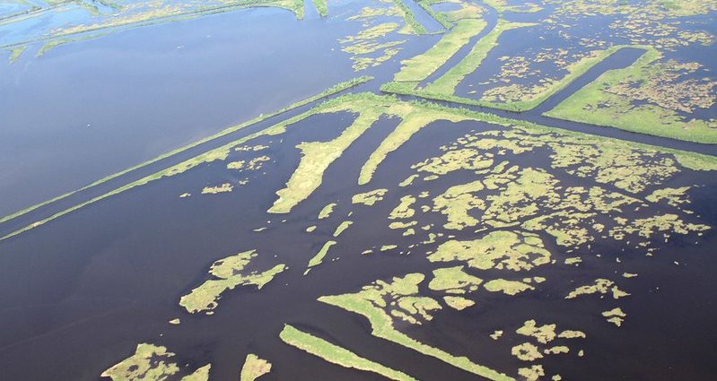 big-oil-knew-it-was-wrecking-louisiana’s-coast,-records-show