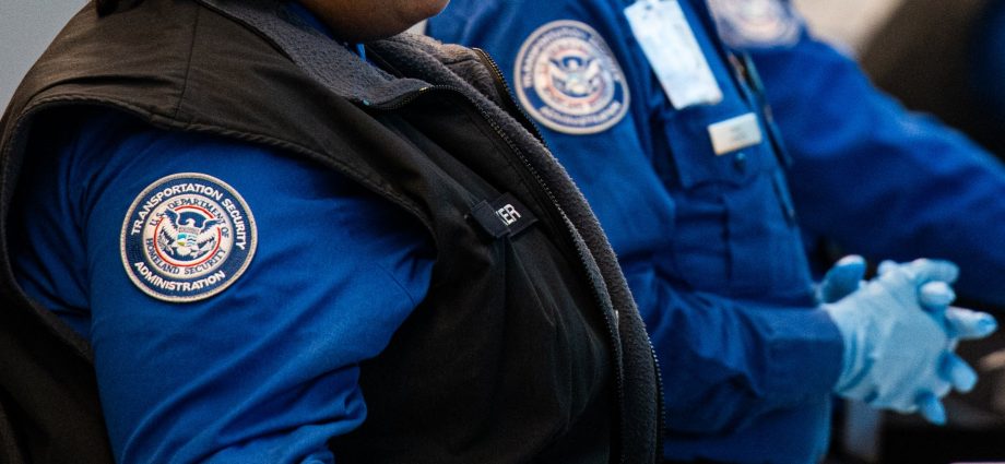airlines-urge-congress-to-end-shutdown,-warn-unpaid-tsa-agents-threaten-operations