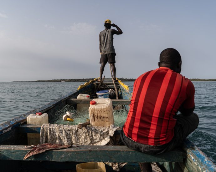 how-the-‘galapagos-of-west-africa’-was-plundered-by-floating-fishmeal-factories 