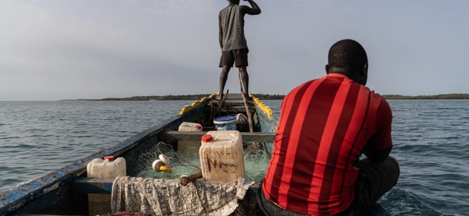 how-the-‘galapagos-of-west-africa’-was-plundered-by-floating-fishmeal-factories 