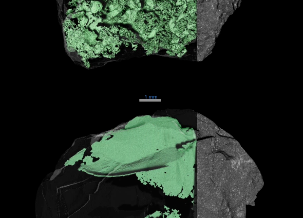 solving-asteroid-bennu’s-mysteries