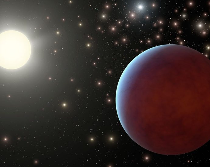 dim-delights-in-cancer