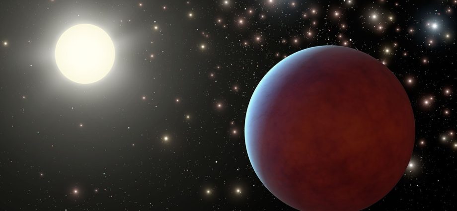 dim-delights-in-cancer