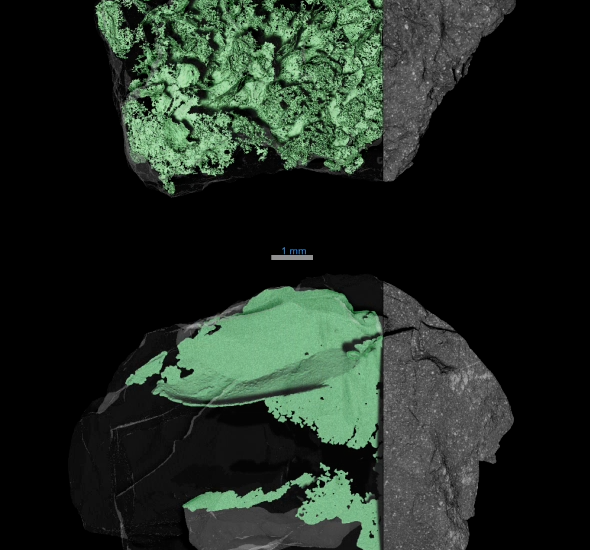 Solving Asteroid Bennu’s Mysteries