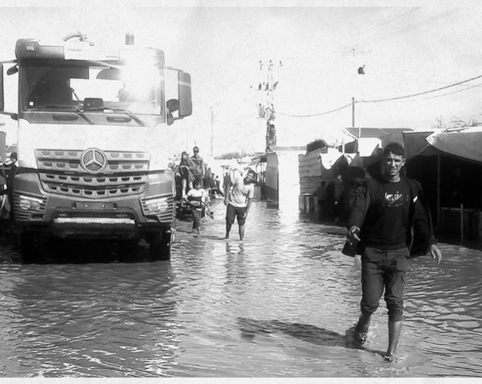 when-you-forget-what-a-car-looks-like