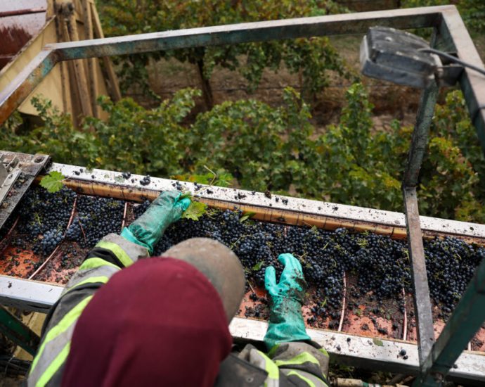 a-new-wine-label-promotes-workers’-rights