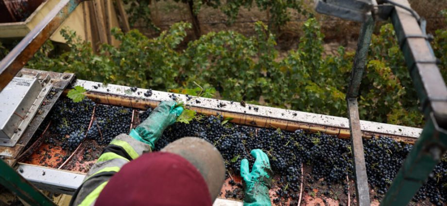 a-new-wine-label-promotes-workers’-rights