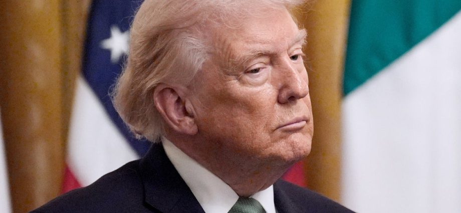 harry-enten-spots-how-‘chickens-are-coming-home-to-roost’-for-the-traitor-right-now