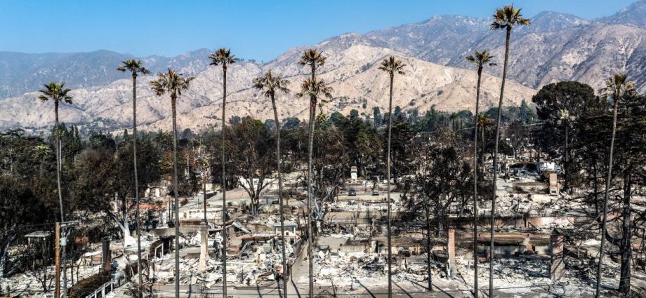 edison-executive-pay-soars-despite-devastating-eaton-fire