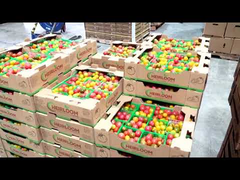 us-producer-inflation-high-in-february