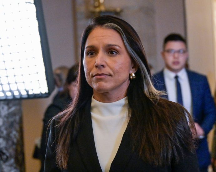 tulsi-gabbard’s-2019-tweet-comes-back-to-haunt-her:-‘the-us-must-not-go-to-war-with-iran’