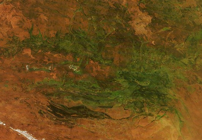 australia’s-“red-centre”-turns-green