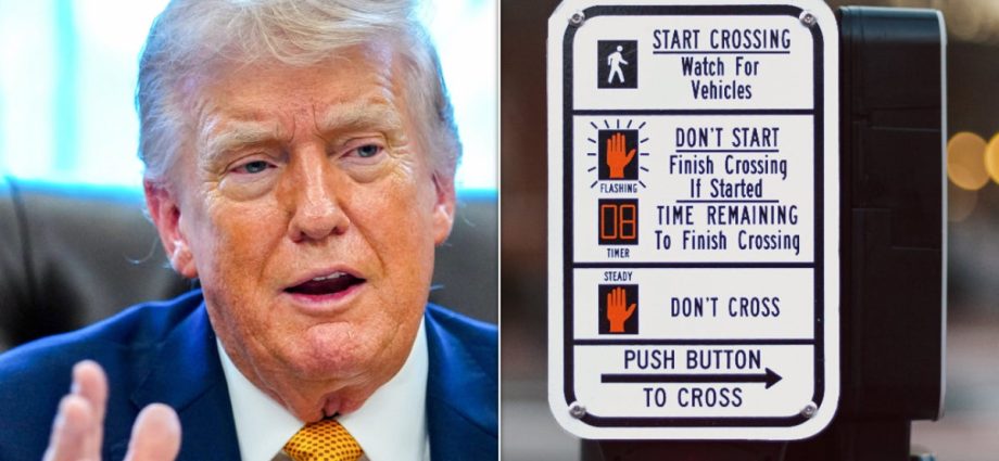 denver-crosswalk-buttons-hacked-to-blast-anti-the-traitor-messages