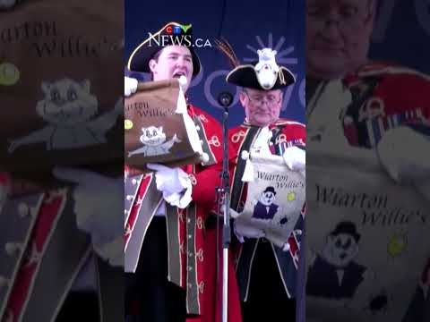 should-wiarton-consider-a-more-‘humane’-alternative-when-replacing-iconic-groundhog?