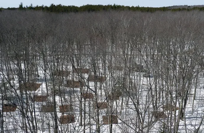 how-warming-is-shifting-microbial-worlds