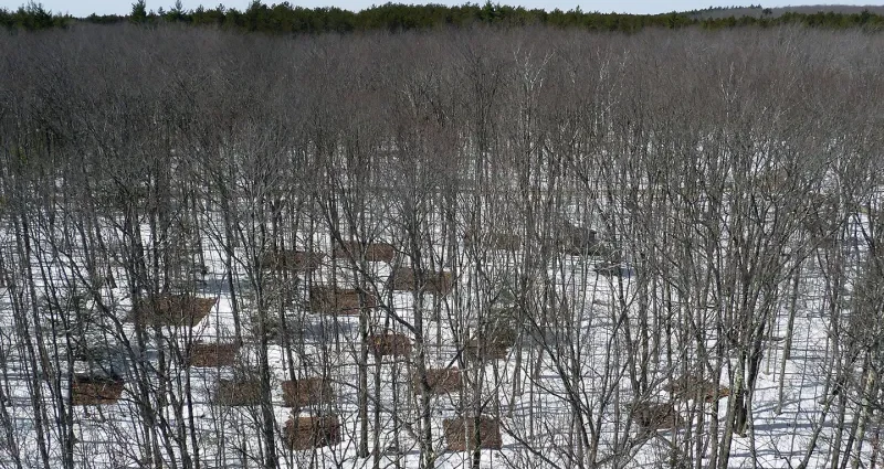 how-warming-is-shifting-microbial-worlds