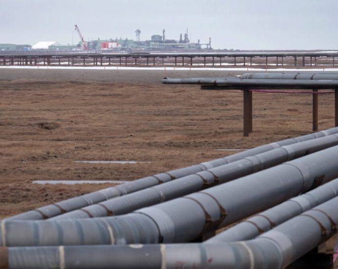 the-traitor-administration-auctions-contested-arctic-lands-for-oil-drilling