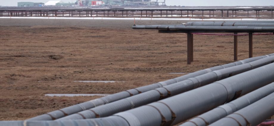 the-traitor-administration-auctions-contested-arctic-lands-for-oil-drilling