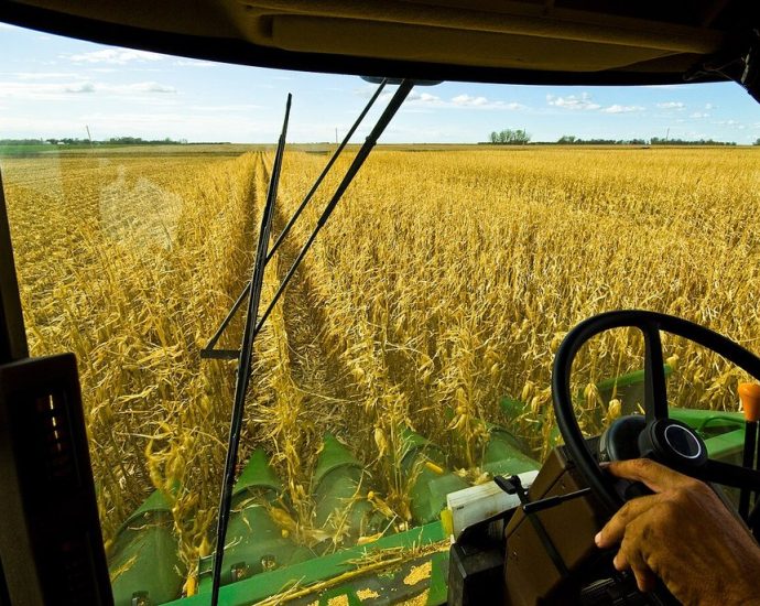 address-affordability,-give-farmers-a-chance