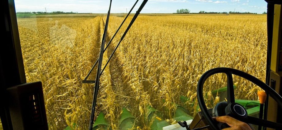 address-affordability,-give-farmers-a-chance