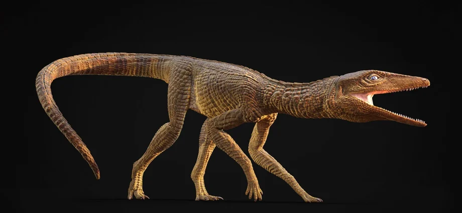 this-crocodile-ran-like-a-greyhound-across-prehistoric-britain-200-million-years-ago