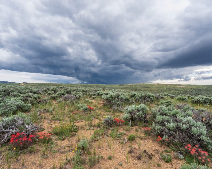 wildlife-loves-wyoming’s-‘golden-triangle.’-so-do-oil-companies