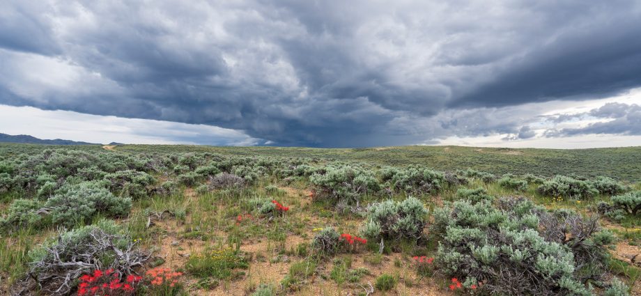 wildlife-loves-wyoming’s-‘golden-triangle.’-so-do-oil-companies