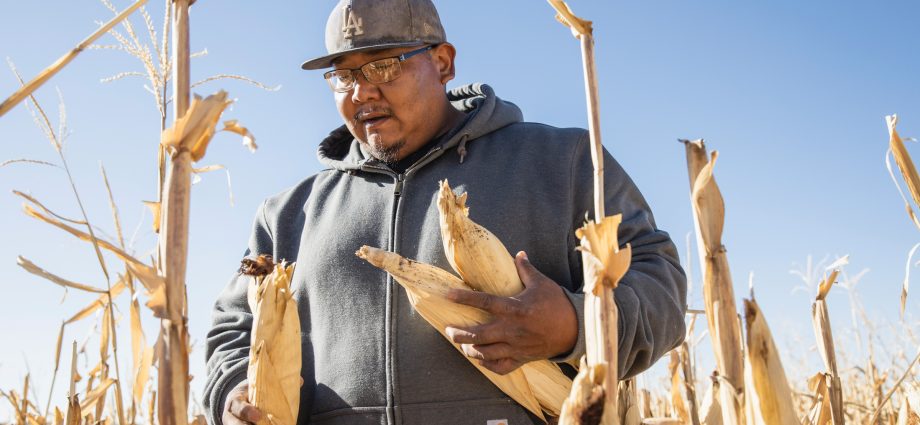 a-shrinking-colorado-river-is-forcing-farms-to-change