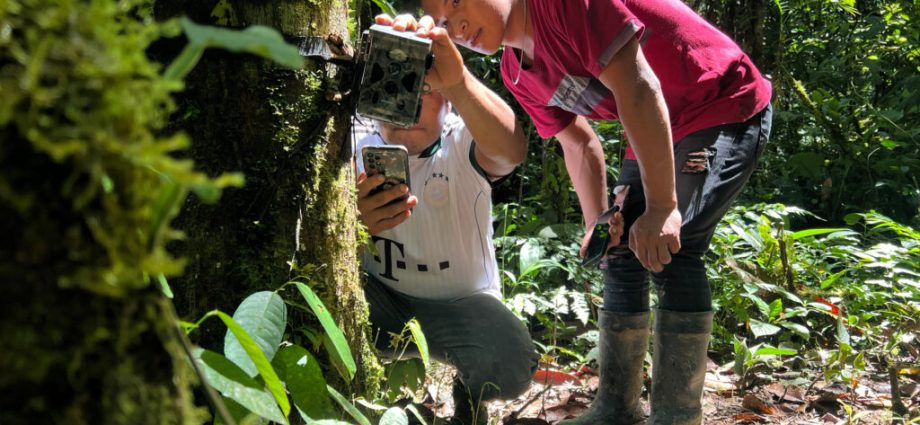 in-the-fight-to-defend-the-amazon,-this-indigenous-community’s-secret-weapon-is-science