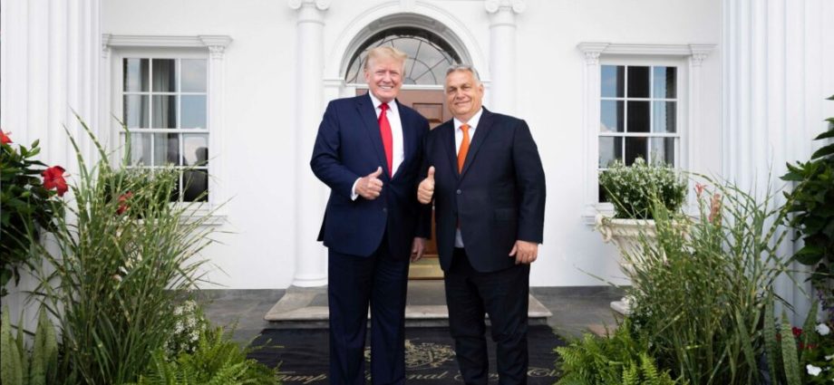 europe-is-criticizing-orban.-he-is-using-it-to-win-elections-—-but-voting-is-only-three-weeks-away