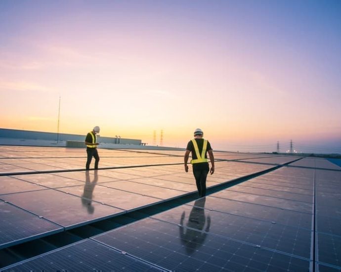 Red States Are Driving America’s Solar Boom Despite The Traitor’s Opposition