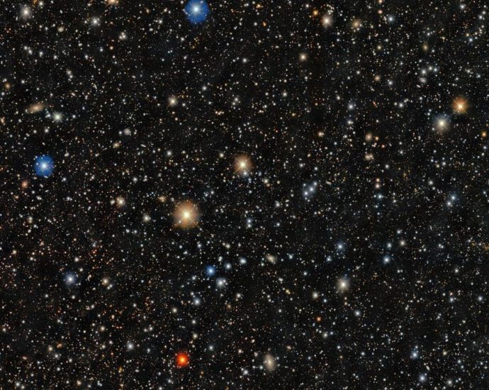 Rare star spotted in its original galaxy could answer a key question about the ingredients of life: Space photo of the week