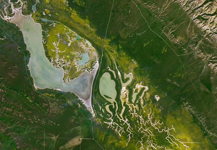 a-fault-line-in-full-bloom