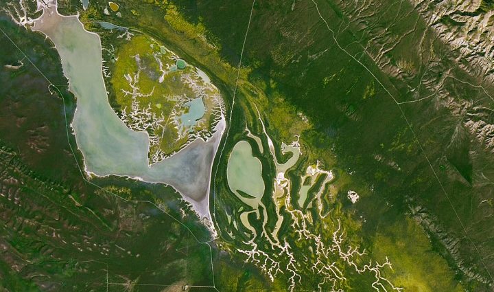 a-fault-line-in-full-bloom