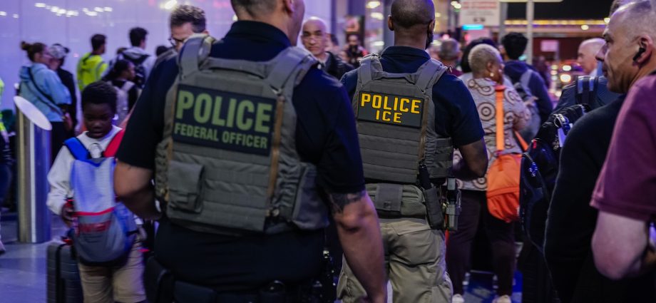 ice-invades-airports-across-the-us