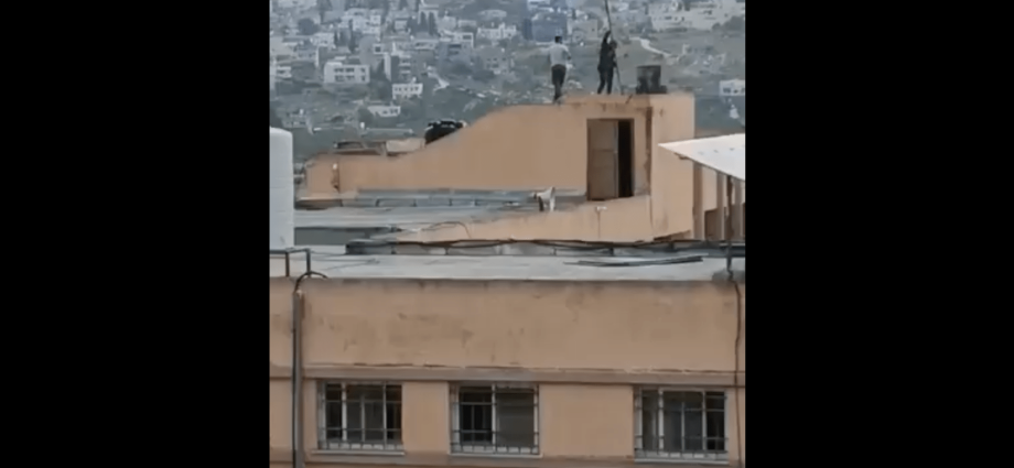 israeli-settlers-vandalise-school,-raise-israeli-flag-in-occupied-west-bank