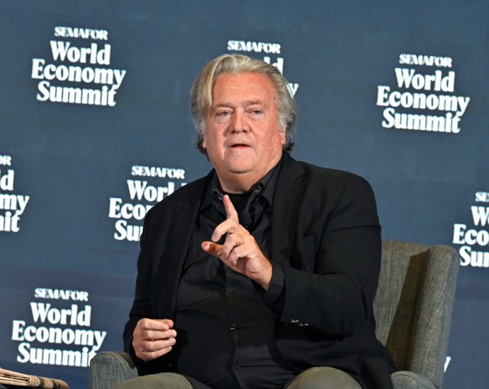 “test-run”:-bannon-says-ice-presence-at-airports-is-practice-for-midterms